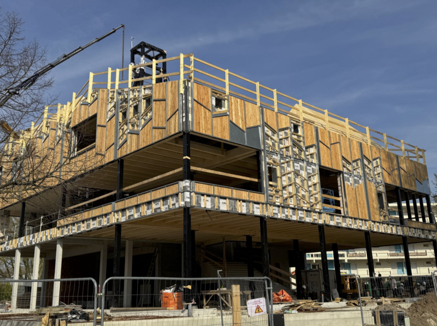 kapea-bacalan-article-site-wp