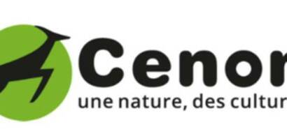 Logo-CENON